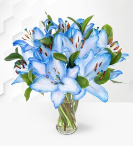 lilies
