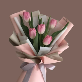 tulips flower