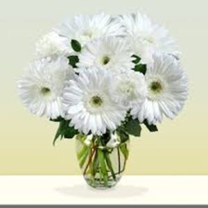 daisies
