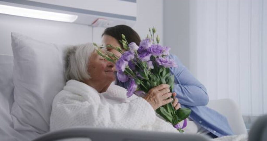 lavender flowers that symbolize healing