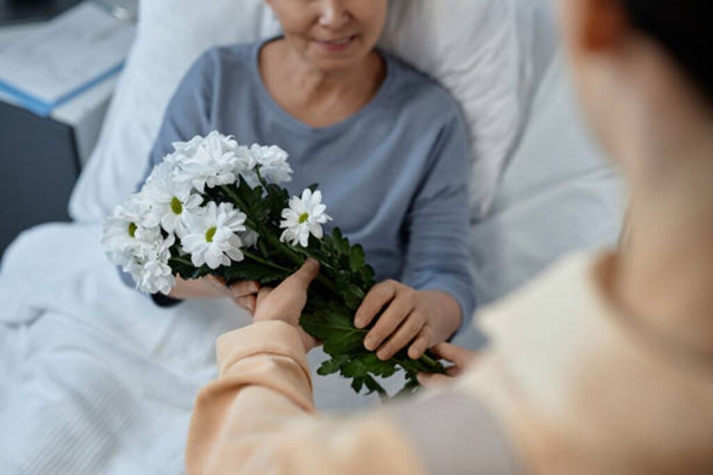 chamomile get well soon flowers