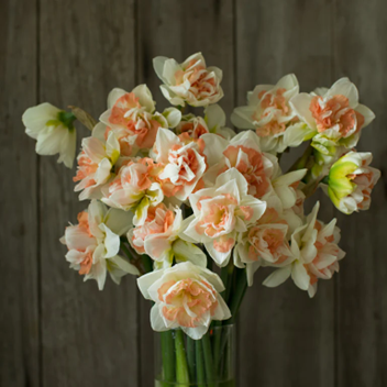 Daffodils flowers for Year 10 wedding Anniversary