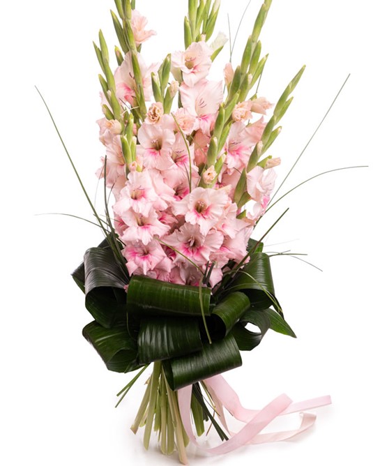 Gladiolus flower for Year 40 wedding anniversary