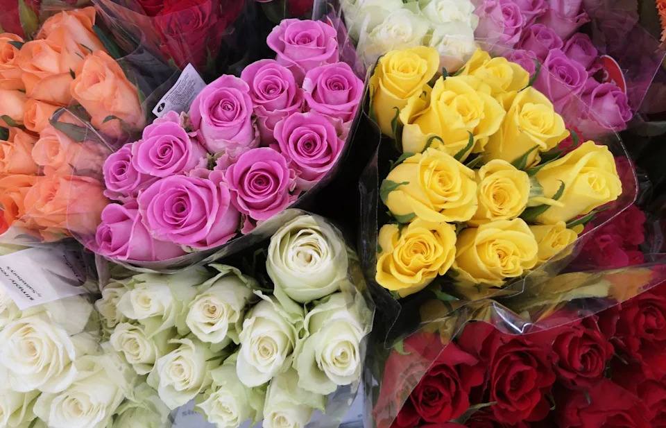 meaning of roses by color with red pink white and yellow roses